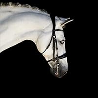 Vista 2 de Audrey' Brida de Cuero de Lujo - (Doble) Black Warmblood