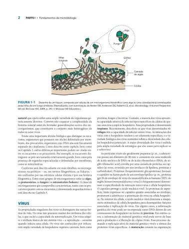 Microbiologia Médica de Jawetz, Melnick & Adelberg