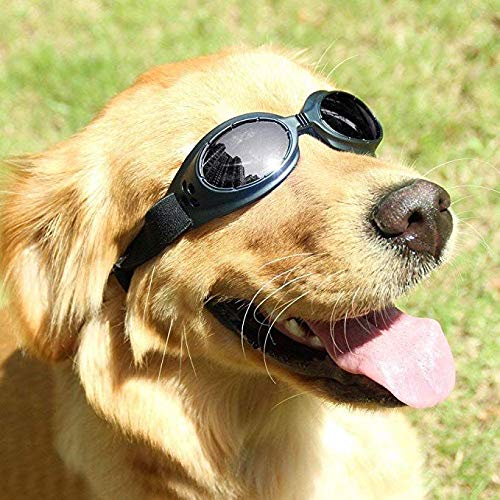 PSK Sunglass, Glamorous Eye Protection googgles Eye Wear Protection Waterproof Pet Sunglasses for Dogs with Fashion Flair for All Breeds (Blue) 2