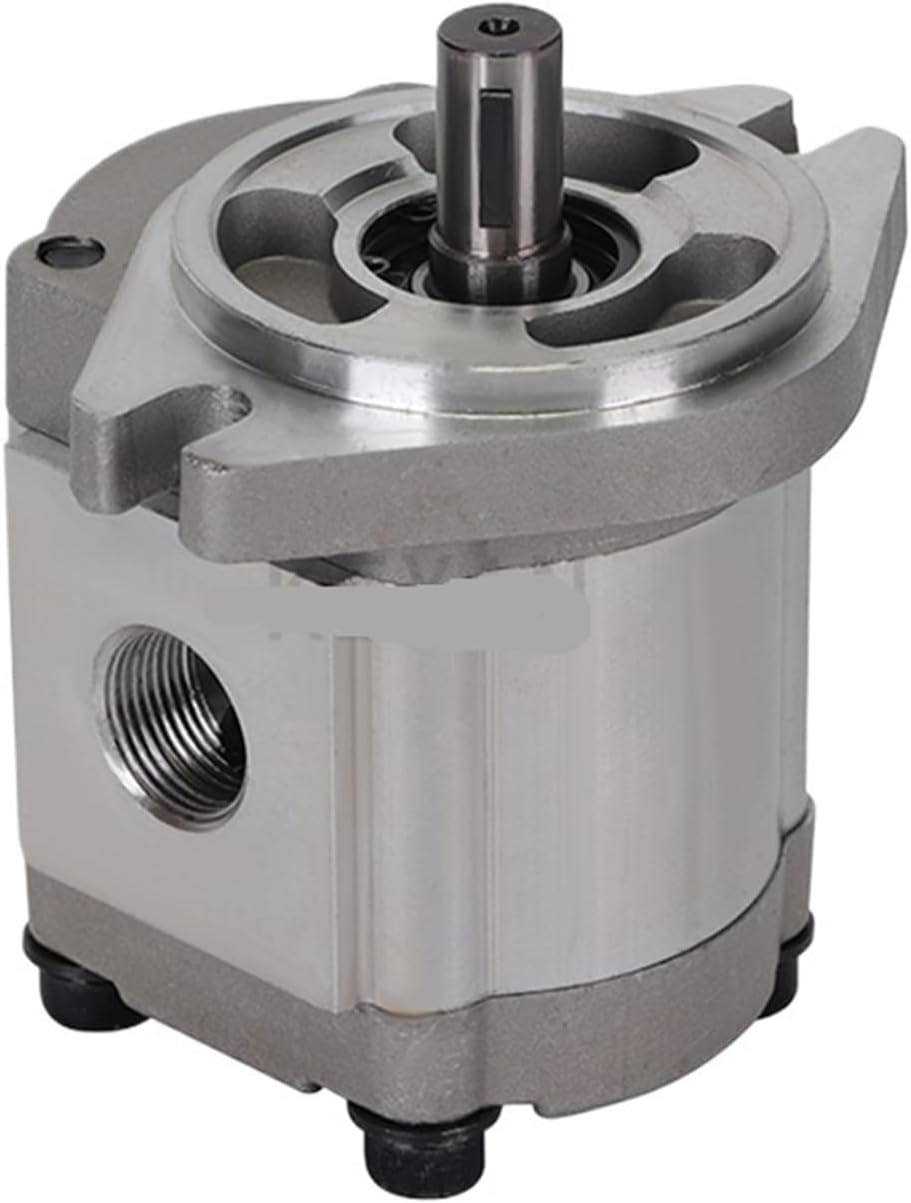 Hydraulic Gear Motor high Pressure Oil Pressure Bidirectional Rotating Gear Motor(KC-3A-CM17L)