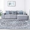 SUPERIOR Indoor Large Area Rug, Farmhouse Home Throw for Bedroom, Office, Living Room, Dining/Kitchen, Entry, Floral Medallion Floor Decor, Fiorella Collection, Azure, 9' x 12'