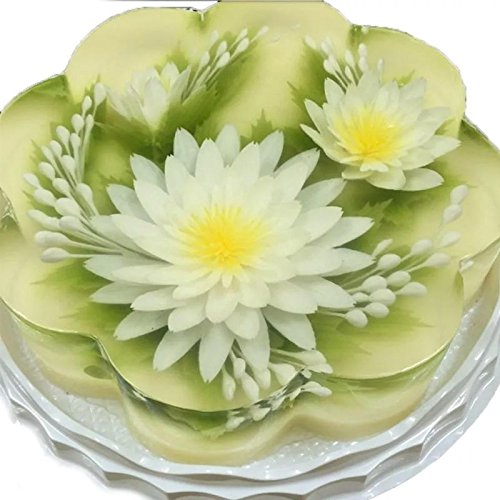 KIT DECORADOR DE GELATINA INCOLOR COM SERINGA E 10 BICOS PARA CONFEITAR FLORES FLOR