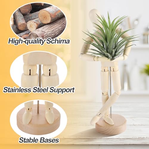 Image of ANPHSIN 2 Sizes Wooden Air Plant Holder, Adjustable Poses, 2 pcs