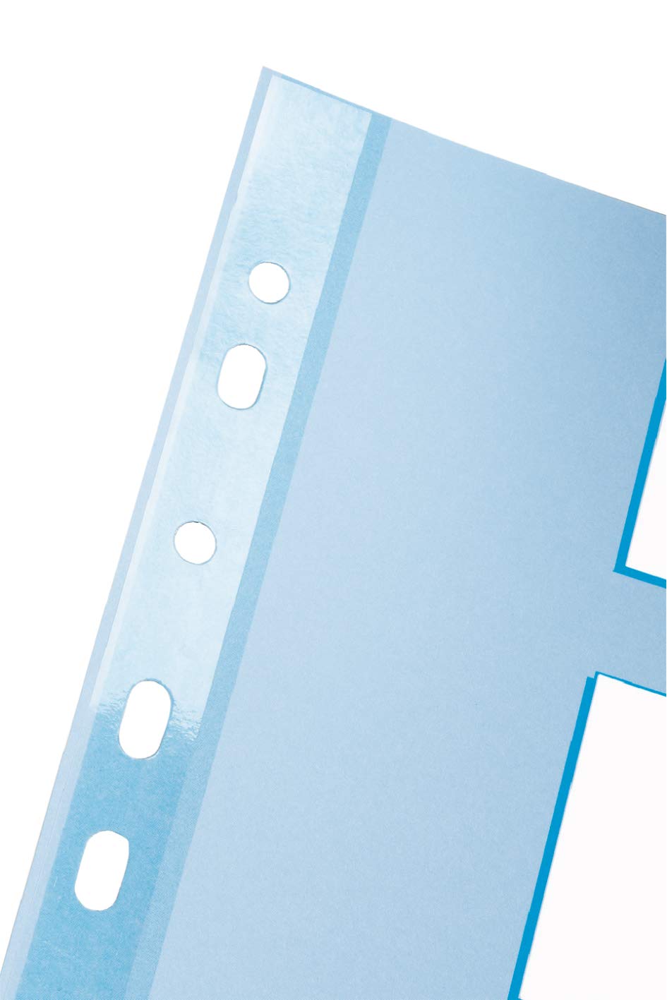 ESSELTE Intercalare in PPL Traslucido 12 tasti - f.to MAXI - 20649