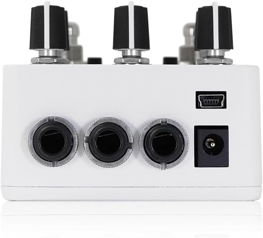 Red Panda Raster2 ギターエフェクター ディレイ Amazon | Red Panda Raster V2 デジタルディレイ ギターエフェクター