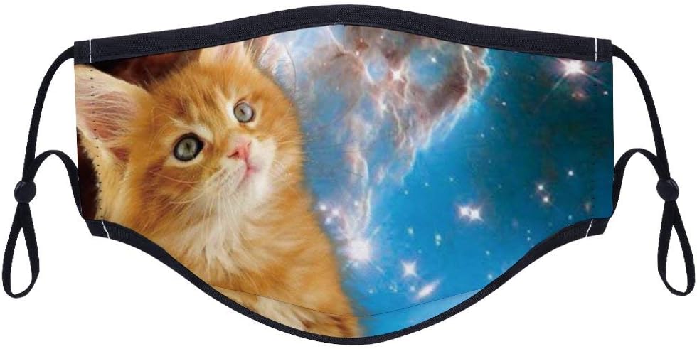 Fashion Comfortable health Face MaskGalaxy Daze Lazy Cat Cotton Anti-Dust Mouth Mask Reusable Face Shield Mask for Adults and Teens