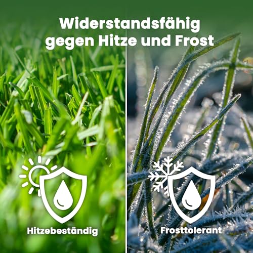 LERAVA® EXPRESS Rasensamen schnellkeimend frühjahr (30m²) - Premium Samen für Trockenrasen & Schattenrasen - Rasensamen nachsaat für lückenlosen Rasen - Grassamen schnellkeimend - Rasensaat turbo -