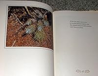 Mirror without glass: Oak Creek Canyon B0006BM2J0 Book Cover