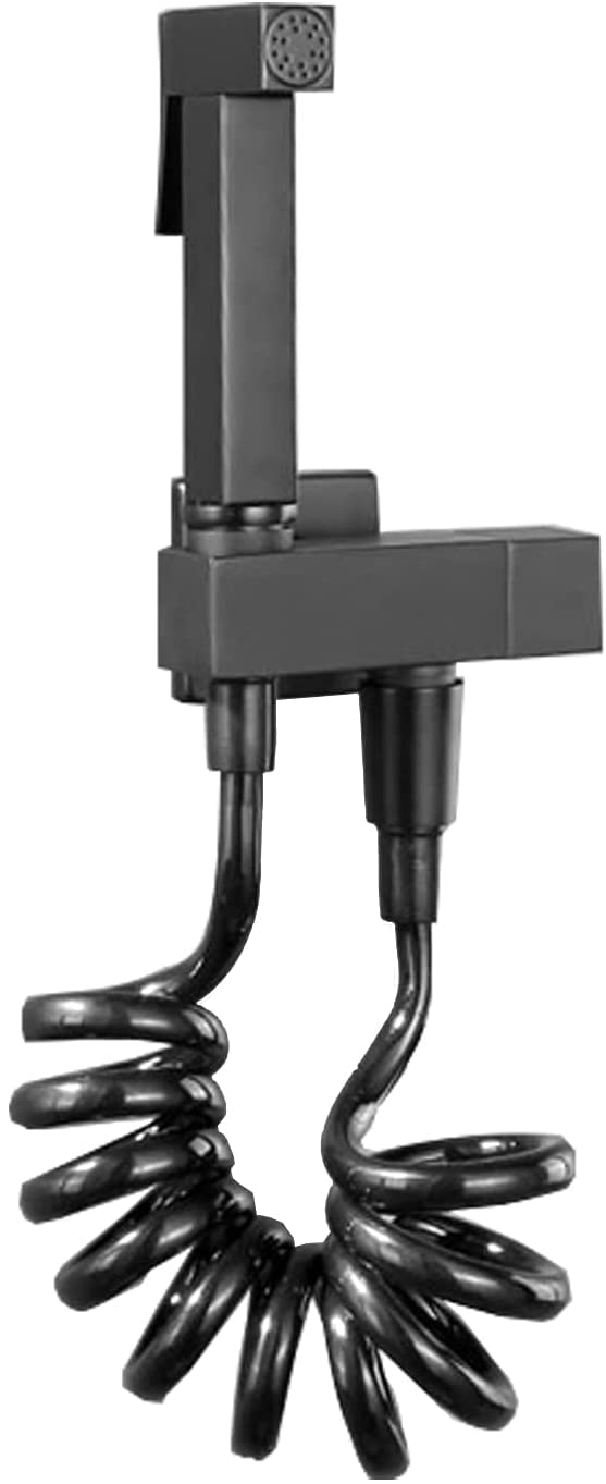 Pulvérisateur de bidet portatif noir en laiton pour toilette