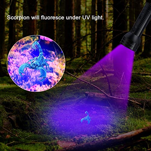 Lampe de poche UV Black Light, 51 LED 395 nM, détecteur de lumière noire ultraviolette pour urine de chien, taches d'animaux et punaises de lit