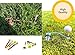 Premium Robot Bear Golf Tees Hanger 4 Pcs Silicone & 3-1/4