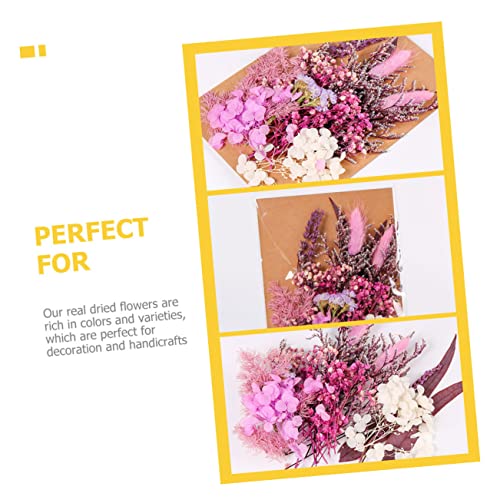 Kit Holibanna Flores Secas DIY 1 Bolsa para Decoración miniatura 6