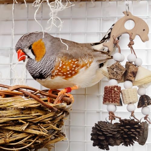 MXYZQDE Wellensittich Zubehör,Wellensittich Spielzeug,Spielzeug für Wellensittiche,Geeignet für Kleine Bis Mittlere Vögel, Leicht Im Käfig Zu Installieren Und Langlebig