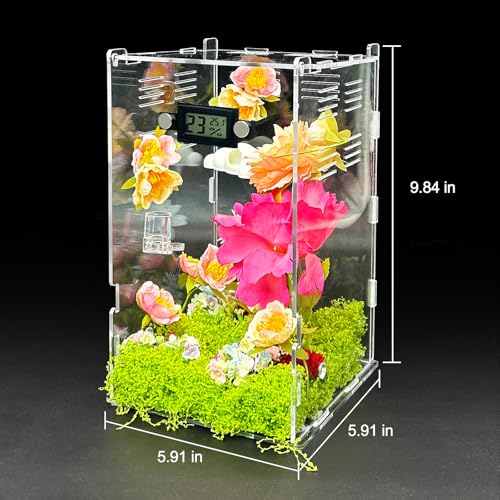 Image of Jumping Spider Enclosure,DIY Insects Habitat,Small Reptile Terrarium Glass House Accessories Set,with Temperature and Humidity Detector Water Feeder Platform Hide,5.5 inchx5.5 inchx9.5 inch (Garden)