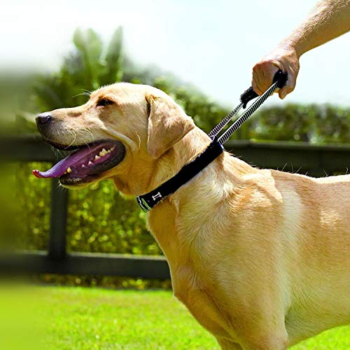 Armored Tech Dog Control Halsband mit integrierter Kurzleine (XS - Halsumfang 31-35 cm, schwarz)