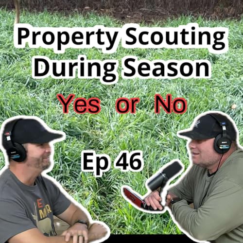 Couverture de Should you scout during season?