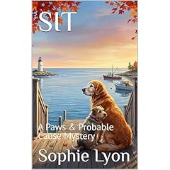 SIT Audiolibro Por Sophie Lyon arte de portada