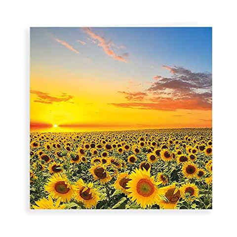Piccadilly Greetings Blank Card with Sunflowers Cover