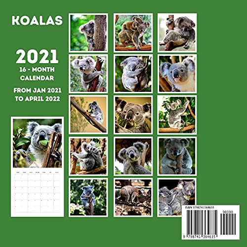 Koalas Calendar 2021: 16-Month Calendar, Cute Gift Idea For Girls & Men
