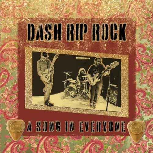Play Pain Pills Never Expire (Official) by Dash Rip Rock on Amazon Music