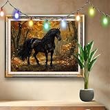 hd 7770 video card benchmark 【5D DIAMOND PAINTING SET】Diamond painting ist ein sehr einzigartiges und exquisites Kunstwerk,das eine Mischung aus Malen nach Zahlen und Kreuzstich ist.Die Zahlen und Symbole der Diamantkunst auf der HD-Leinwand sind klar und leicht zu lesen.Es sind keine handwerklichen Fähigkeiten erforderlich,Sie können das Gemälde ganz einfach gemäß den Schritten fertigstellen.Dies ist eine supereinfache,unterhaltsame DIY-Kunstnachbildung mit Diamantpunkten,geeignet für Erwachsene,ältere Menschen,Kinder.