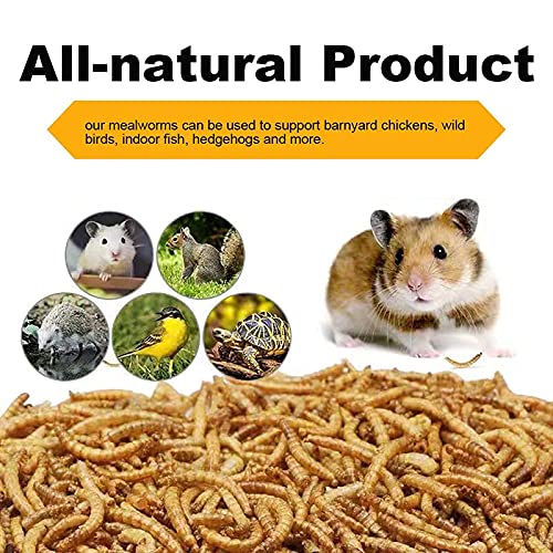 LuckyQworms Mealworms, High-Protein Dried Mealworms for Birds, Chickens, Turtles, Fish, Hamsters and Hedgehogs, Non-GMO… - Image 4
