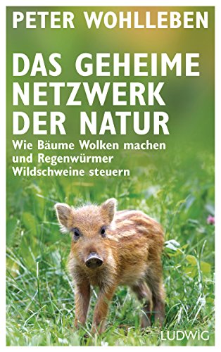 Télécharger Das geheime Netzwerk der Natur: Wie Bäume Wolken machen und Regenwürmer Wildschweine steuern (Germ PDF Ebook En Ligne