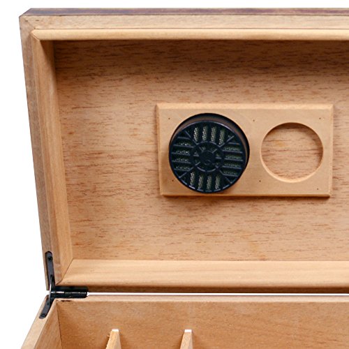 Quality Importers Cigar Caddy Deluxe Humidifier, Round, Large Foam Cigar Humidifier With Stainless Steel Screen #TOP3