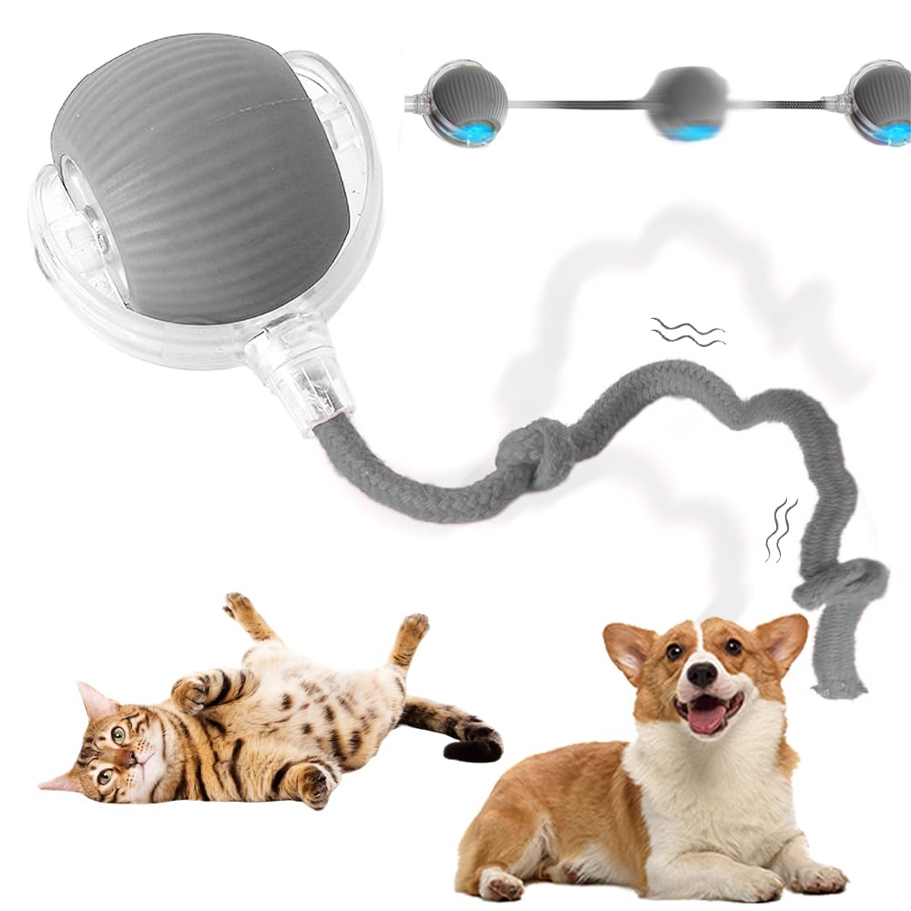 ROWPOZ Interactive Rolling Cat Dog Ball, 2025 Upgraded Automatic Dog Toy Interactive Cat Toys 360° Smart Rolling Ball Toy Electric Balls for Dog/Cat (