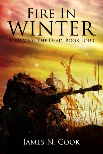Bargain eBook - Fire In Winter 