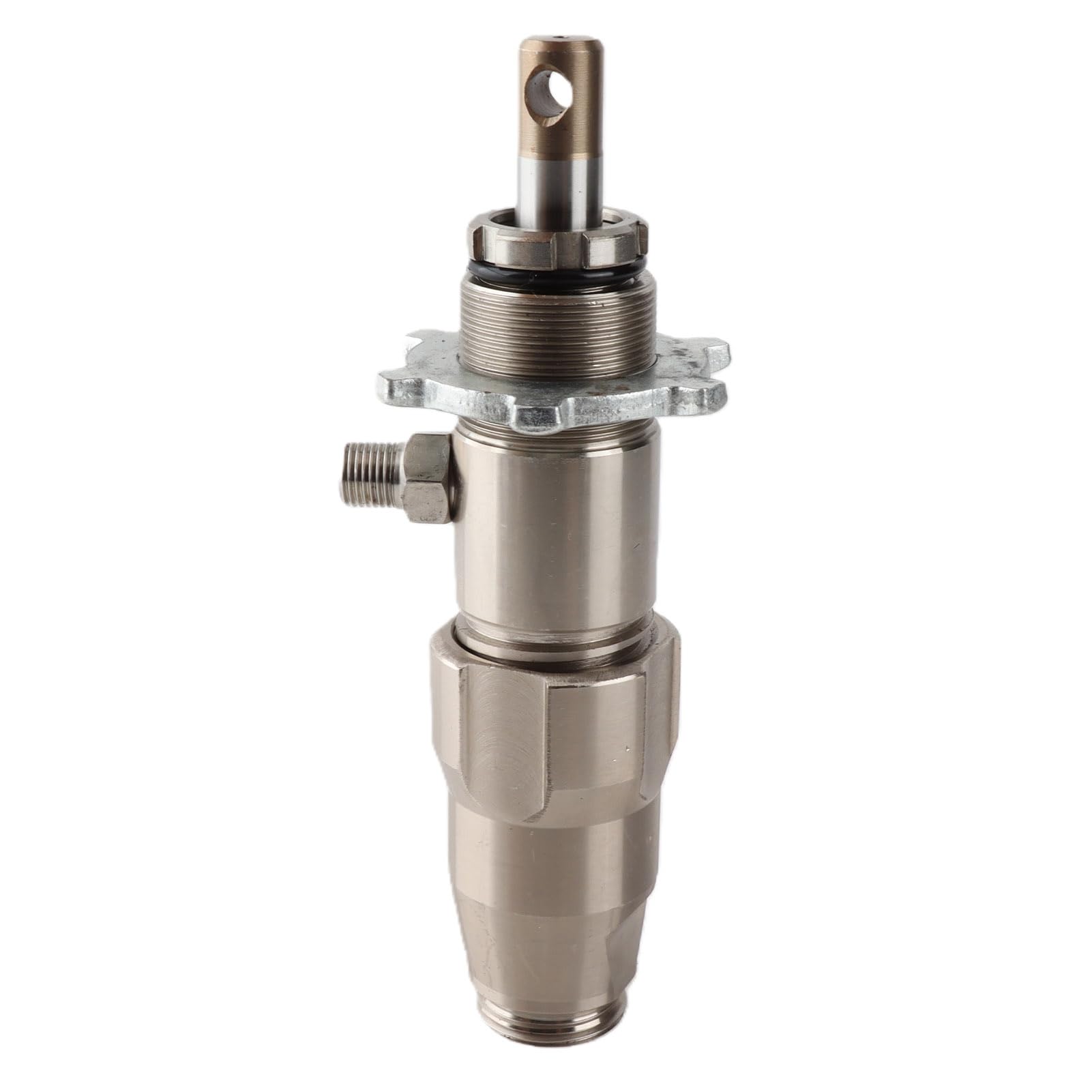 Sprühpumpe aus Edelstahl, Langlebig und Effizient, für Professionelle Sprühmaschine, 20 cm Länge