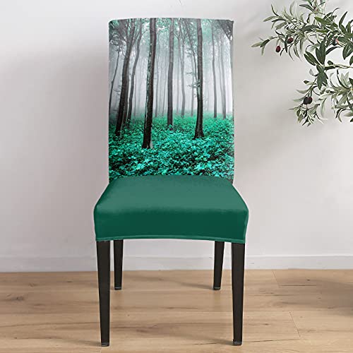 Fall Thanksgiving Chair Covers Autumn Maple Forest Dining Chair Slipcovers Teal Green Seat Protector Stretch Removable Party Decoration Set Of 4 #TOP3