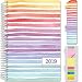HARDCOVER Calendar Year 2019 Planner: (November 2018 Through December 2019) 5.5"x8" Daily Weekly Monthly Planner Yearly Agenda. Bonus Bookmark, Pocket Folder and Sticky Note Set (Pastel Stripes)