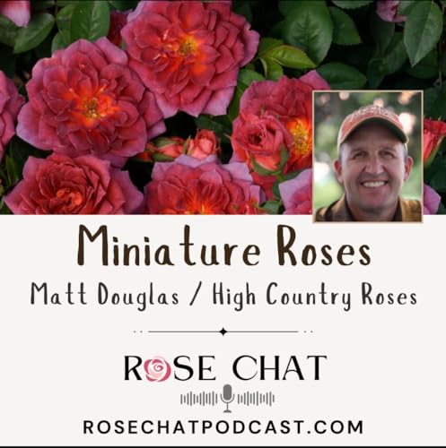 MINIATURE ROSES Podcast Por  arte de portada