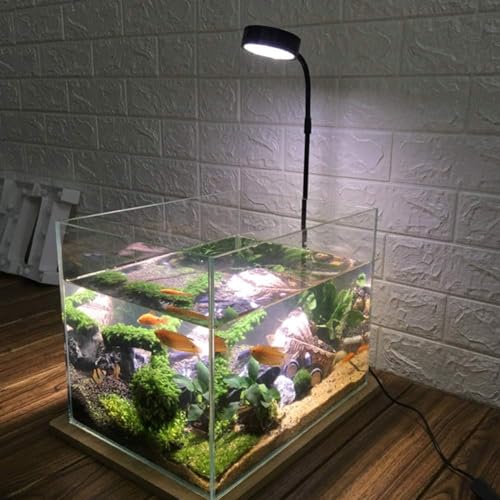 Image of LED Aquarium Light 360 Degree Full Spectrum LED Light with Bamboo Board 10W Nano Fish Tank Light USB Powered Flat Nano Aquarium Light (S)