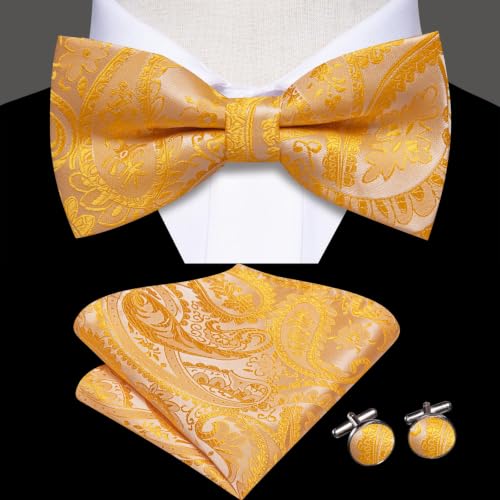 Image of Mens Paisley Striped Bowtie Set Pre-tied Bowtie for Men and Pocket Square Set Wedding Business