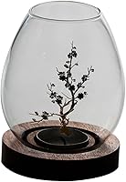 Vista 1 de Contenedor de vela transparente de vidrio para velas, cubierta de vela artesanal de vidrio, accesorio de decoración de velas, contenedor de cubierta