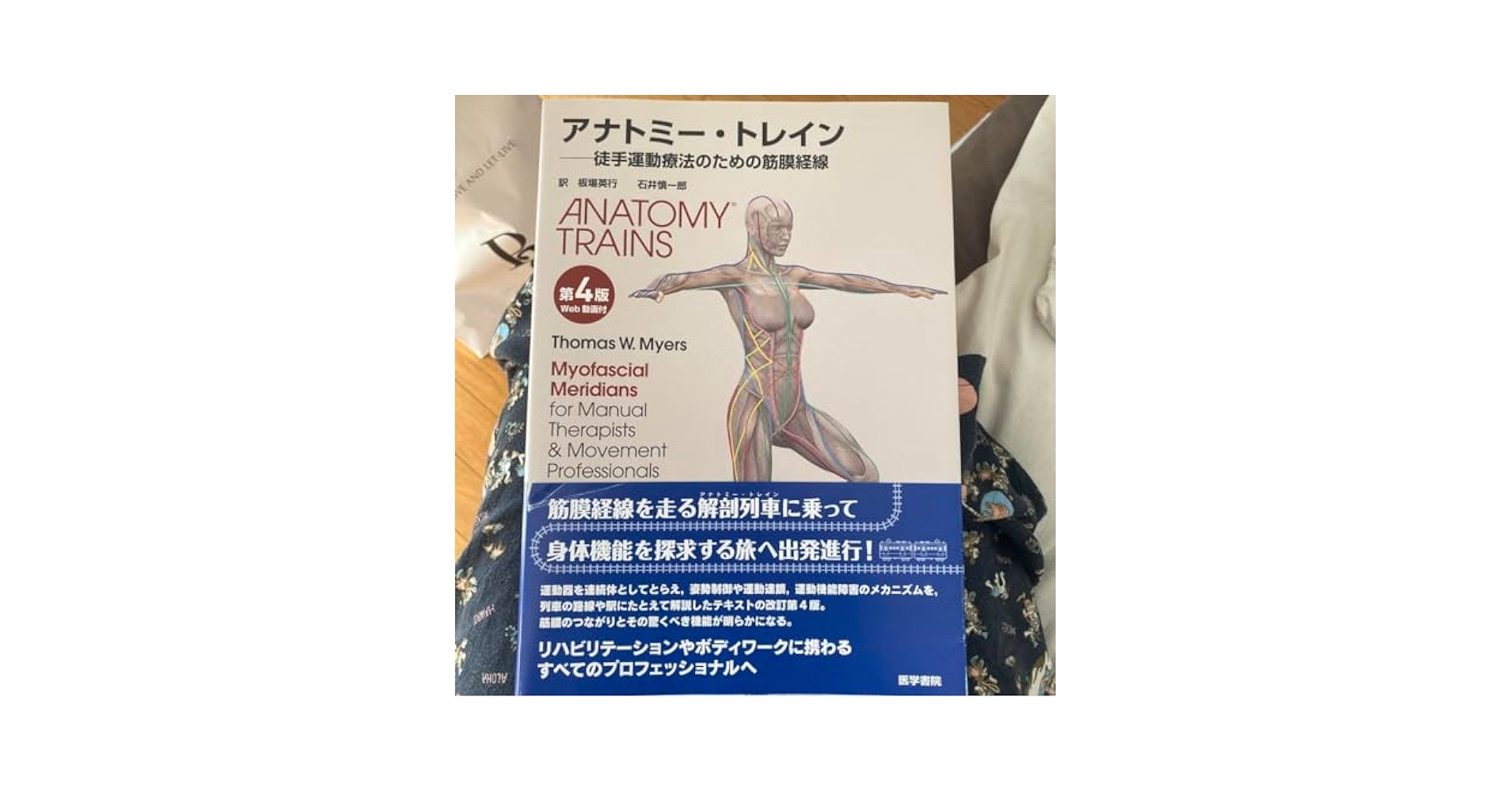Amazon.co.jp: アナトミートレイン : 徒手運動療法のための筋膜