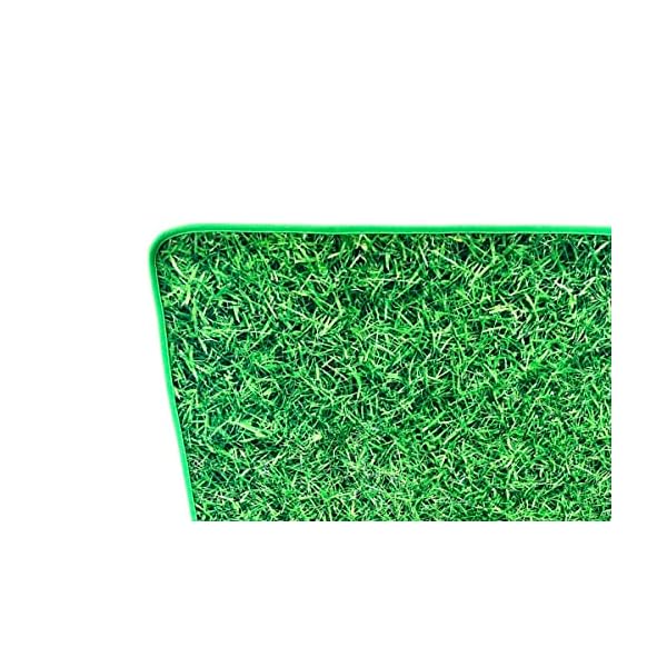 Ruff World Reusable Washable Pee Pads for Dogs - Custom Grass Pattern Training Mats, Odor Resistant, 48"x72" Size