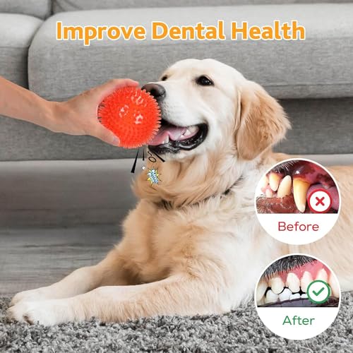 Petizer 2-Pack 11cm Squeaky Ball Toys, Spiky Chew Ball, Floatable Pool Toy, Toss Fetch Toys for Puppy Rubber TPR - Image 4