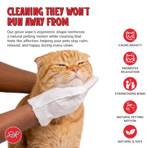 Image of ROTH Monthly Care Kit for Cats | Dental Wipes + 2 x 4 pc Grooming Gloves | Full Month Pet Care Solution | Vet Formulated Hygiene Kit