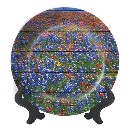 Decorative Plates for Display multicololored Wildflowers red Blue Bluebonnets Texas Field Gift Plates Ceramic Collections Plates Hanging Artwork for Living Dining Room Kitchen Souvenir