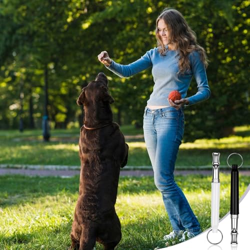 2 Stück Hundepfeife Rütter Rückruf,Hundepfeife Hochfrequenz Lautlos,Hundepfeife Rückruf,Erziehungshilfen für Hunde,Hundetraining Hundepfeifen Gegen Bellen,Hilfsmittel Pfeife Hund Rückruf,Dog Whistle