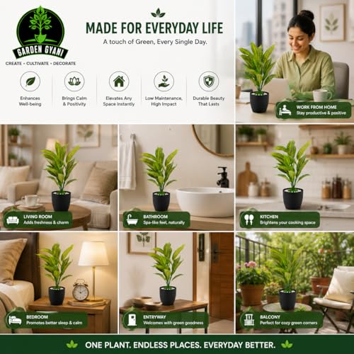 Image of Artificial Yellow Calathea Plant with White Pot - 50 cm Tall Faux Tropical Decorative Plant with 26 Leaves for Home, Office & Living Room Decor