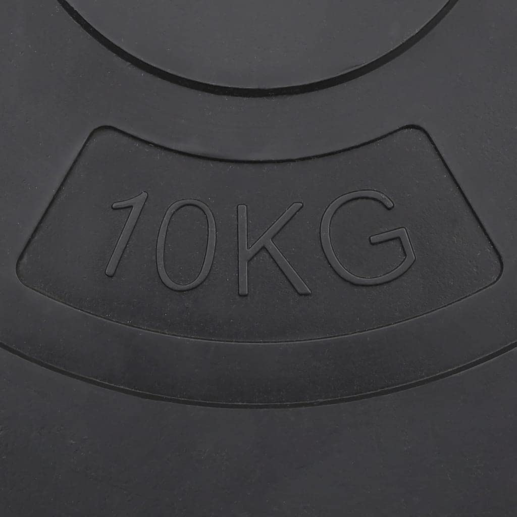 vidaXL Placas de Peso 4 unids Entrenamiento de Halterofilia Deporte Multi-Modelo