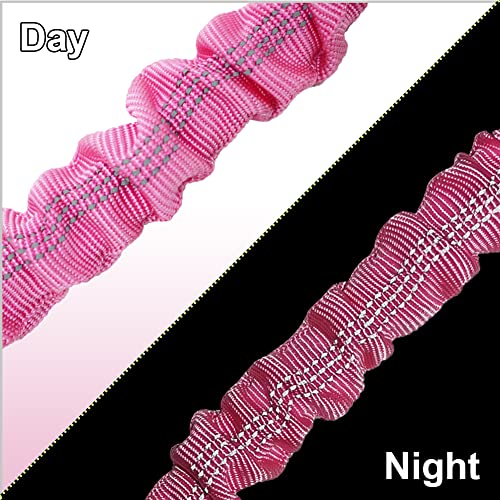 Maypaw 6Ft By 1/2" Strong Nylon Rope, Classic Solid Color + Maypaw 18" Reflective Bungee Dog Leash Extension Attachment #TOP7