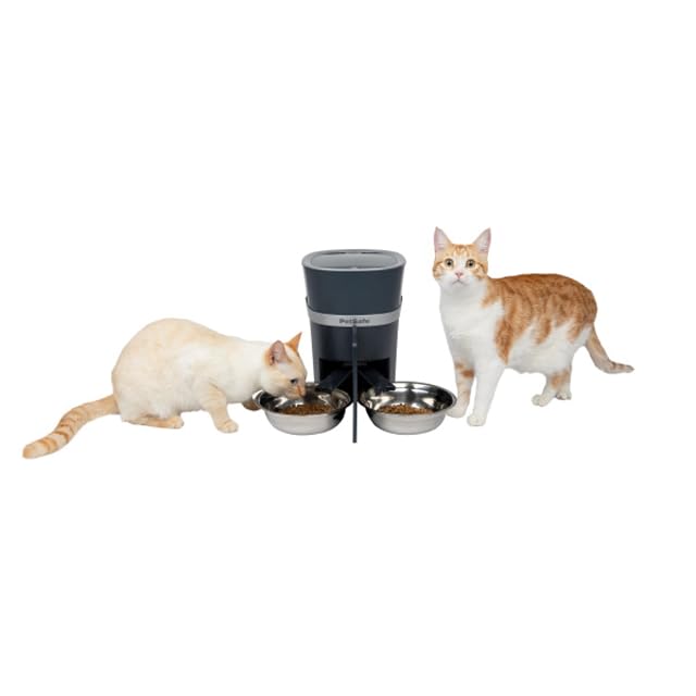Foto 3 de 7 de PetSafe Divisor de Comidas con Cuenco para Dos Mascotas