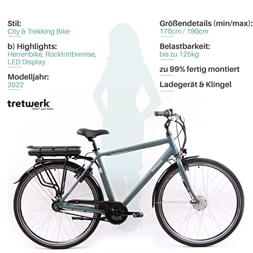 Herren E-Bike TRETWERK 28 Zoll mit Shimano Nexus 7-Gang-Nabenschaltung