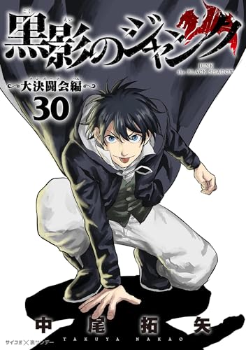 黒影のジャンク～大決