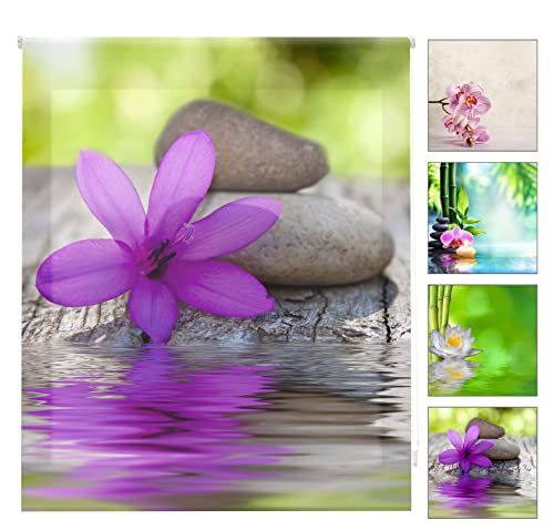 Blindecor w-z-04502 – Roller Translucido Digital Print, 130 x 180 cm